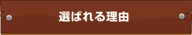 選ばれる理由